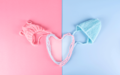 Gender Reveal